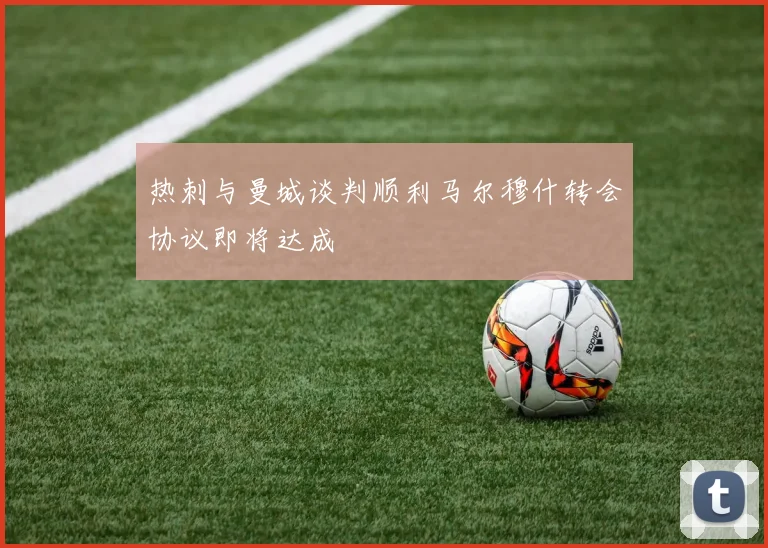 热刺与曼城谈判顺利马尔穆什转会协议即将达成