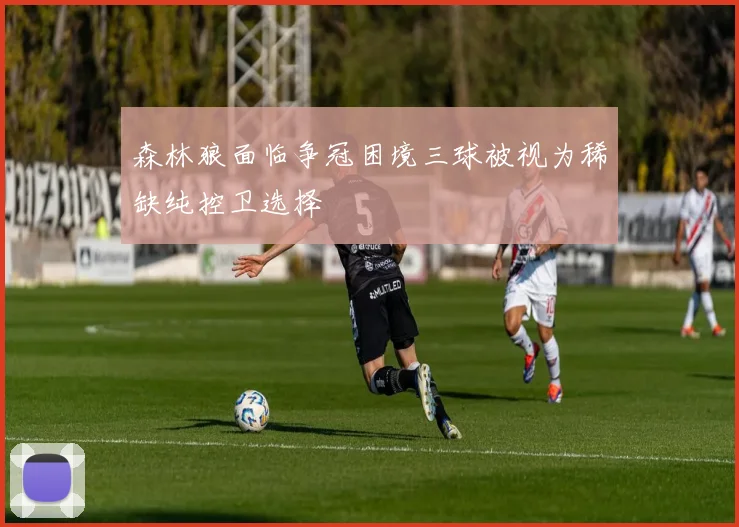 森林狼面临争冠困境三球被视为稀缺纯控卫选择